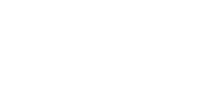 Avsar Group logo