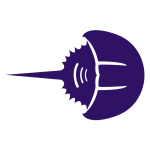 Cambria Software logo