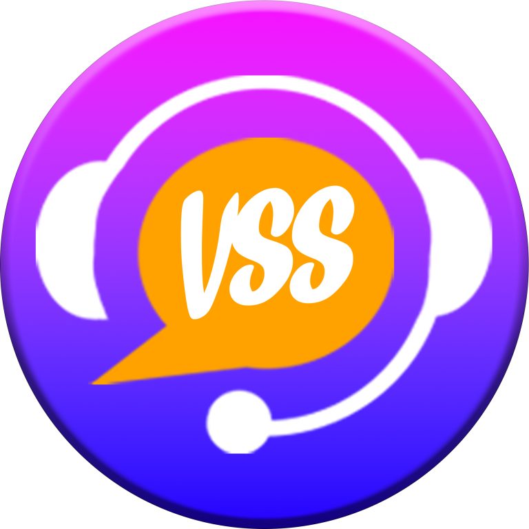 Virtual Support SME logo