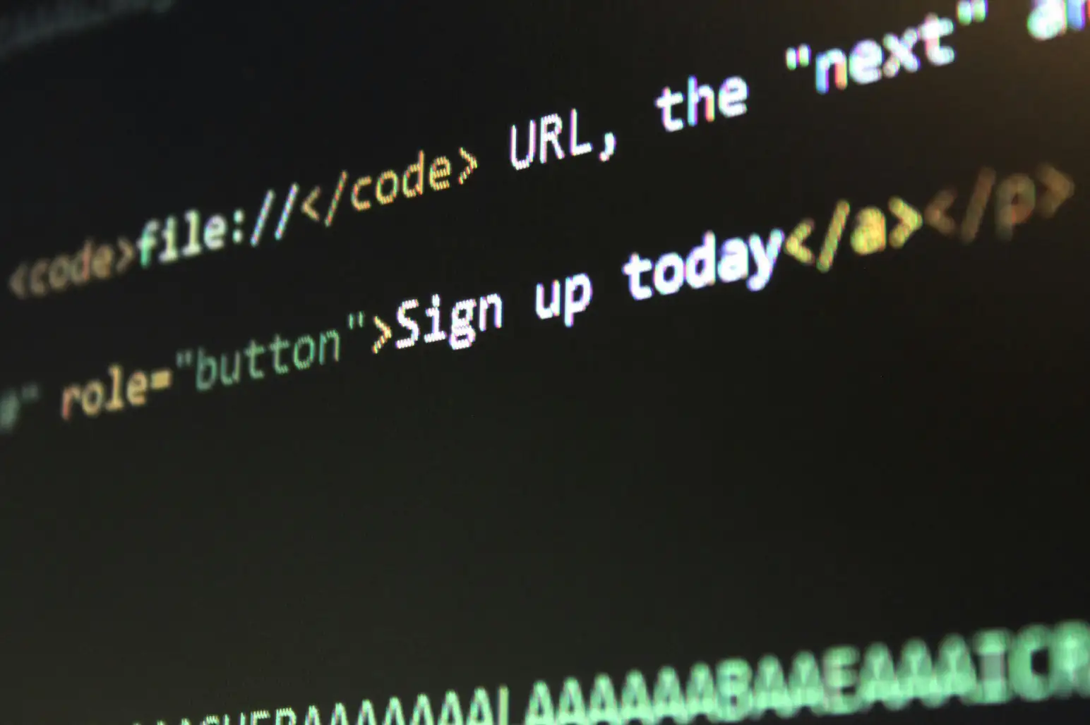 Front-End Developer designing e-commerce landing pages and Amazon storefronts
